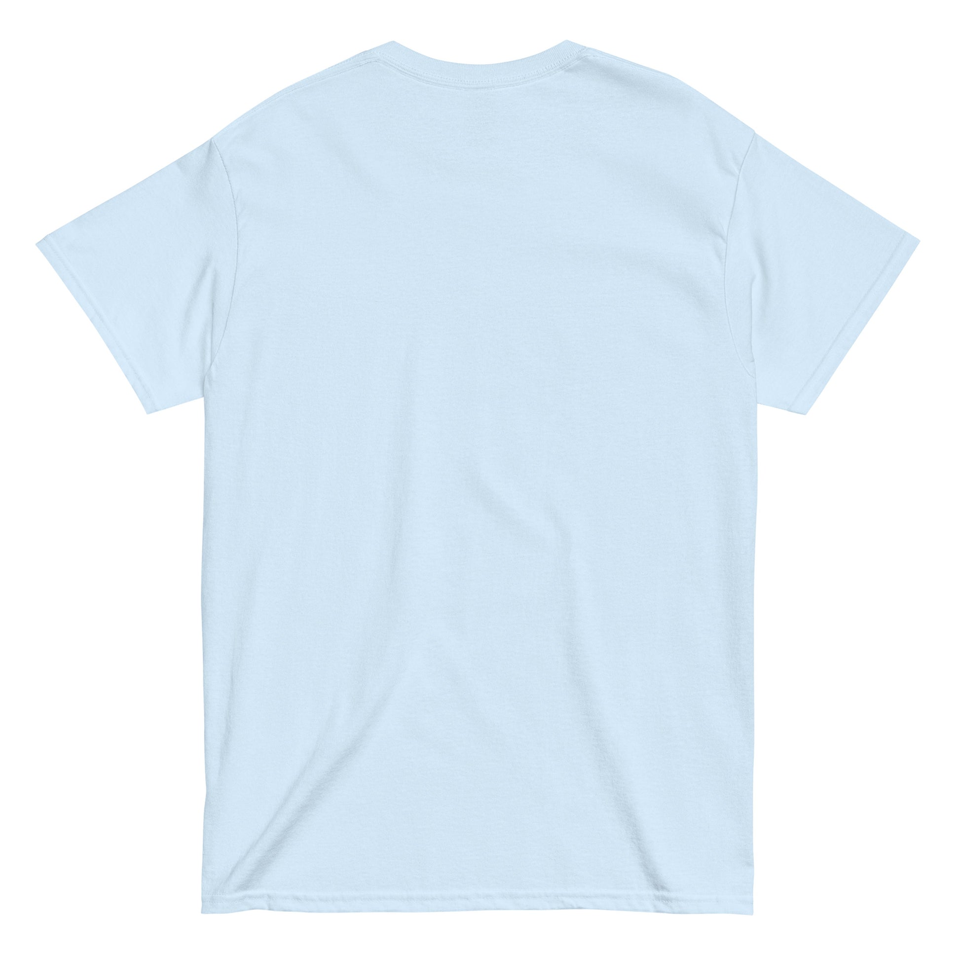 unisex classic tee light blue back